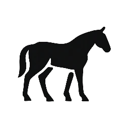 Caballo Barroco – Wachstum im Spiegel der Pferde